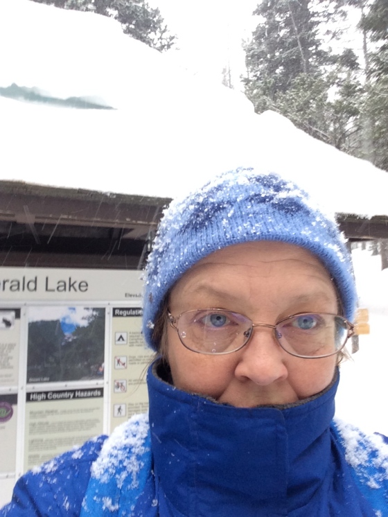 On the trail to Emerald Lake, Rocky Mountain National Park, January 2015. Cold and snowy at 9,500 feet.